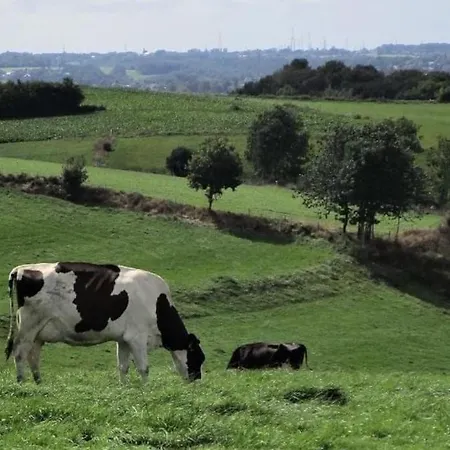 Les Terrasses De La Vallee - Esneux Casa de Férias
