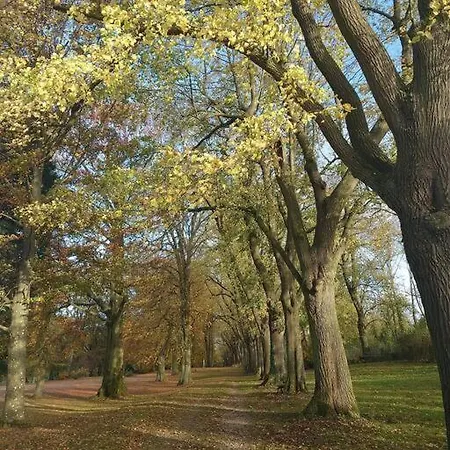 Les Terrasses De La Vallee - Esneux 펜션 Mery