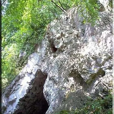 Les Terrasses De La Vallee - Esneux 펜션 Mery