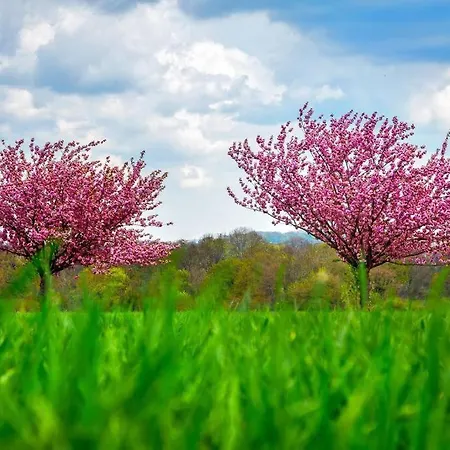 펜션 Les Terrasses De La Vallee - Esneux