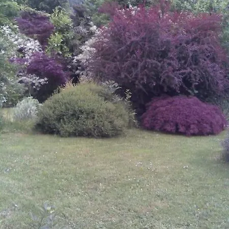 Les Terrasses De La Vallee - Esneux Mery